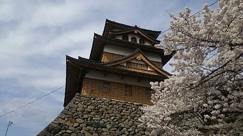 Takashima Castle April 23