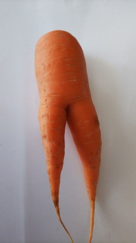 Strange carrot